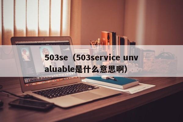 503se（503service unvaluable是什么意思啊）