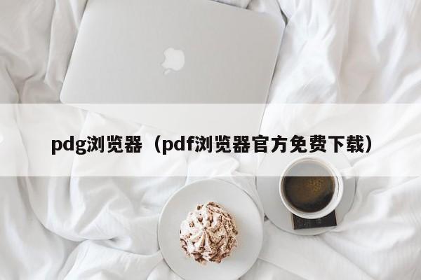 pdg浏览器（pdf浏览器官方免费下载）