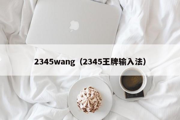 2345wang（2345王牌输入法）