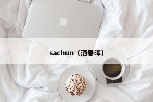 sachun（洒春晖）